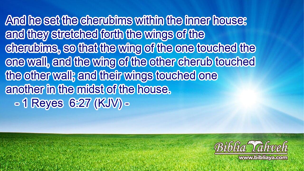 And he set the cherubims within the inner house: and they stretched forth the wings of the cherubims, so that the wing of the one touched the one wall, and the wing of the other cherub touched the other wall; and their wings touched one another in the midst of the house.
