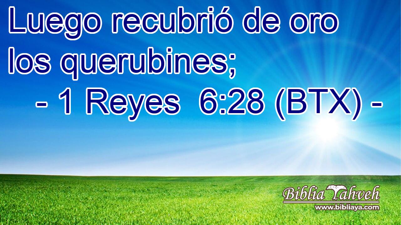 Luego recubrió de oro los querubines;