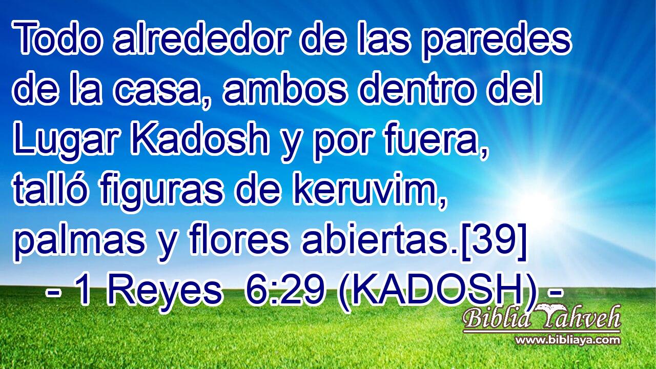  Todo alrededor de las paredes de la casa, ambos dentro del Lugar Kadosh y por fuera, talló figuras de keruvim, palmas y flores abiertas.[39] 