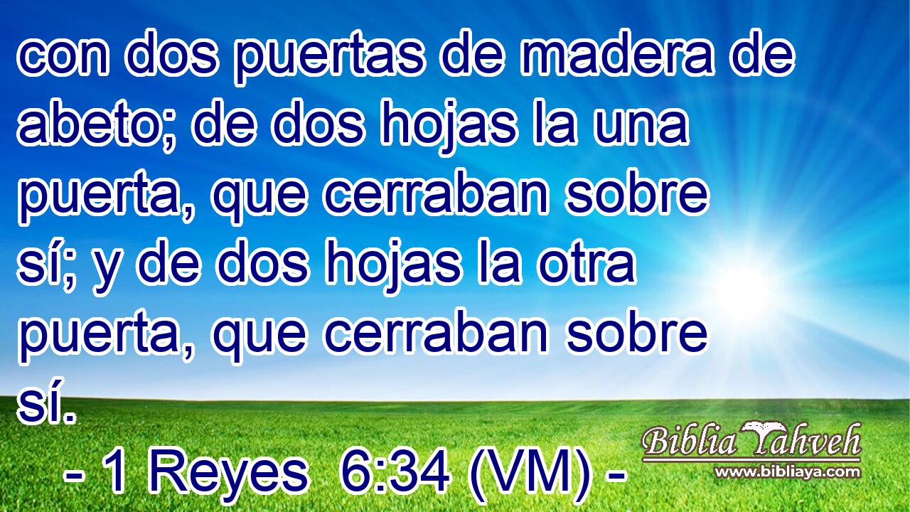  con dos puertas de madera de abeto; de dos hojas la una puerta, que cerraban sobre sí; y de dos hojas la otra puerta, que cerraban sobre sí. 