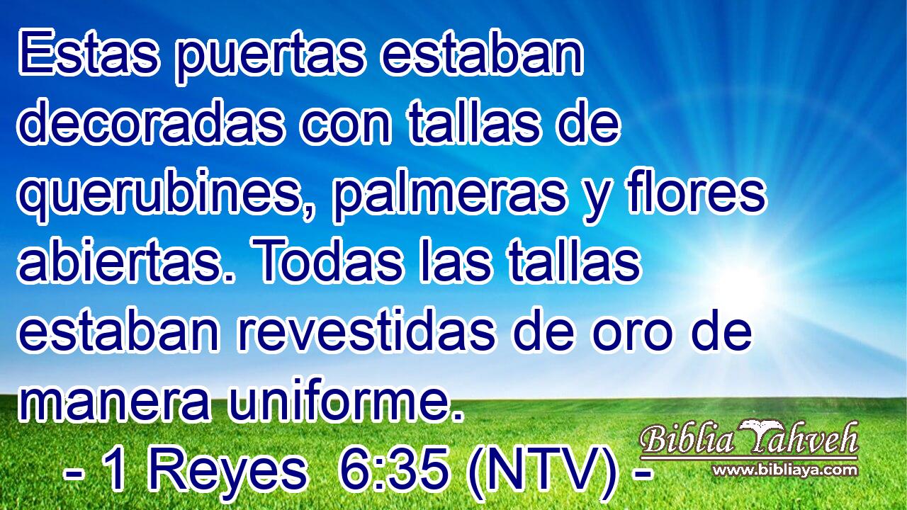 Estas puertas estaban decoradas con tallas de querubines, palmeras y flores abiertas. Todas las tallas estaban revestidas de oro de manera uniforme.
