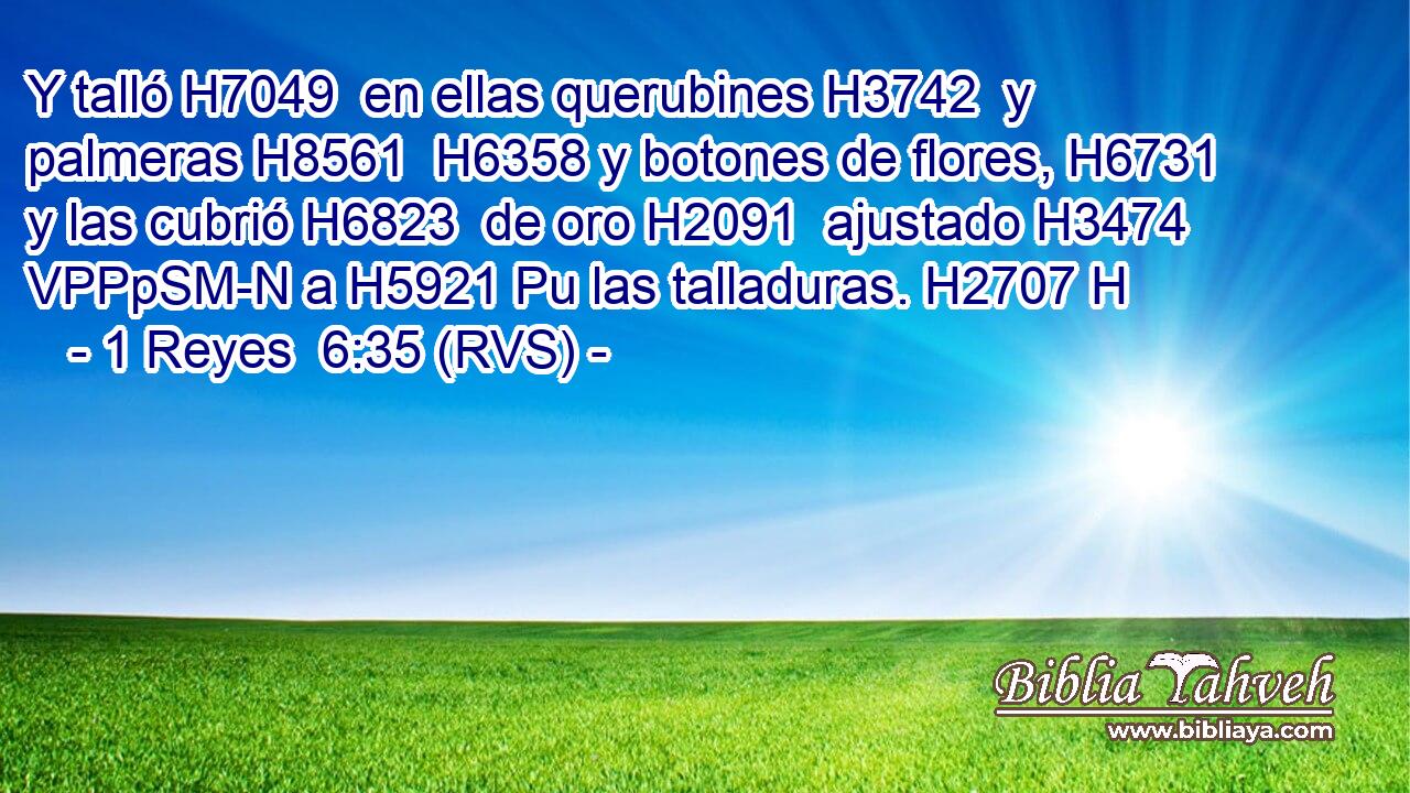 Y talló H7049  en ellas querubines H3742  y palmeras H8561  H6358 y botones de flores, H6731  y las cubrió H6823  de oro H2091  ajustado H3474 VPPpSM-N a H5921 Pu las talladuras. H2707 H 