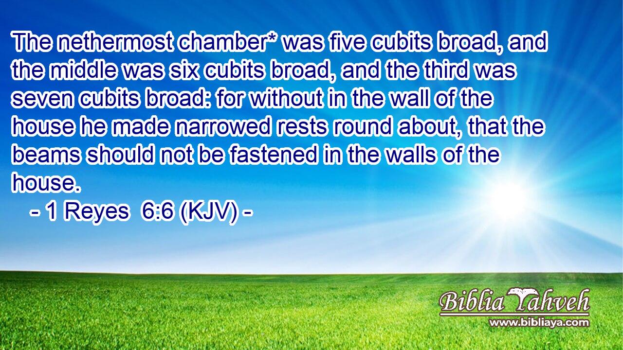 The nethermost chamber* was five cubits broad, and the middle was six cubits broad, and the third was seven cubits broad: for without in the wall of the house he made narrowed rests round about, that the beams should not be fastened in the walls of the house.