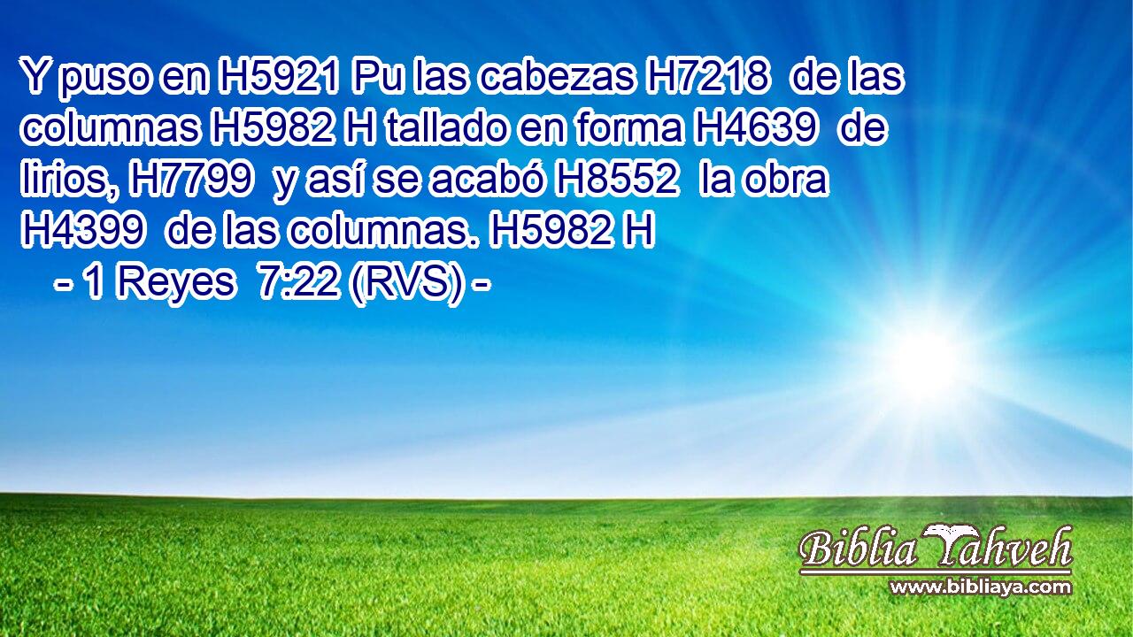 Y puso en H5921 Pu las cabezas H7218  de las columnas H5982 H tallado en forma H4639  de lirios, H7799  y así se acabó H8552  la obra H4399  de las columnas. H5982 H 