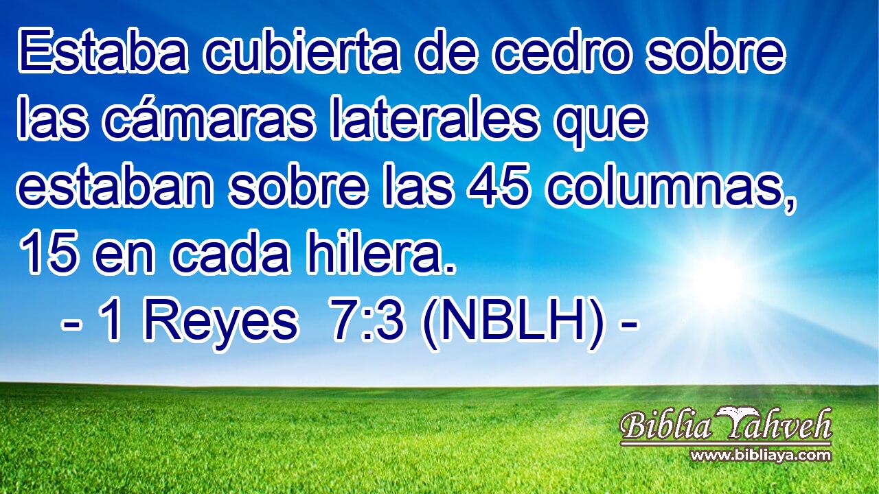  Estaba cubierta de cedro sobre las cámaras laterales que estaban sobre las 45 columnas, 15 en cada hilera. 
