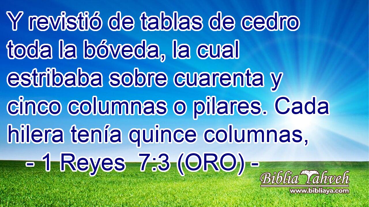  Y revistió de tablas de cedro toda la bóveda, la cual estribaba sobre cuarenta y cinco columnas o pilares. Cada hilera tenía quince columnas, 