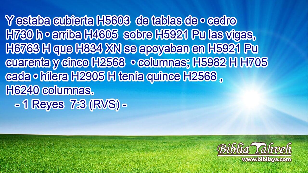 Y estaba cubierta H5603  de tablas de • cedro H730 h • arriba H4605  sobre H5921 Pu las vigas, H6763 H que H834 XN se apoyaban en H5921 Pu cuarenta y cinco H2568  • columnas; H5982 H H705 cada • hilera H2905 H tenía quince H2568 ,  H6240 columnas. 