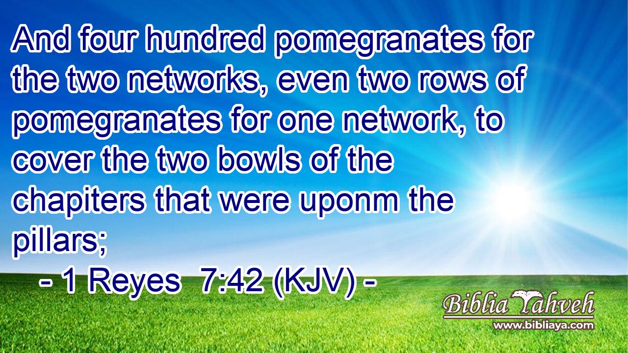And four hundred pomegranates for the two networks, even two rows of pomegranates for one network, to cover the two bowls of the chapiters that were uponm the pillars;
