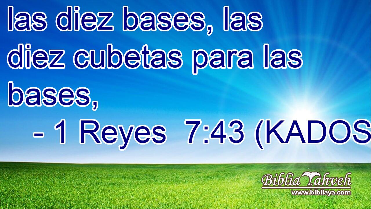  las diez bases, las diez cubetas para las bases, 