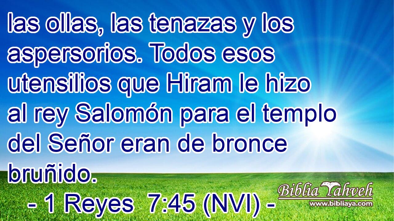  las ollas, las tenazas y los aspersorios. Todos esos utensilios que Hiram le hizo al rey Salomón para el templo del Señor eran de bronce bruñido. 