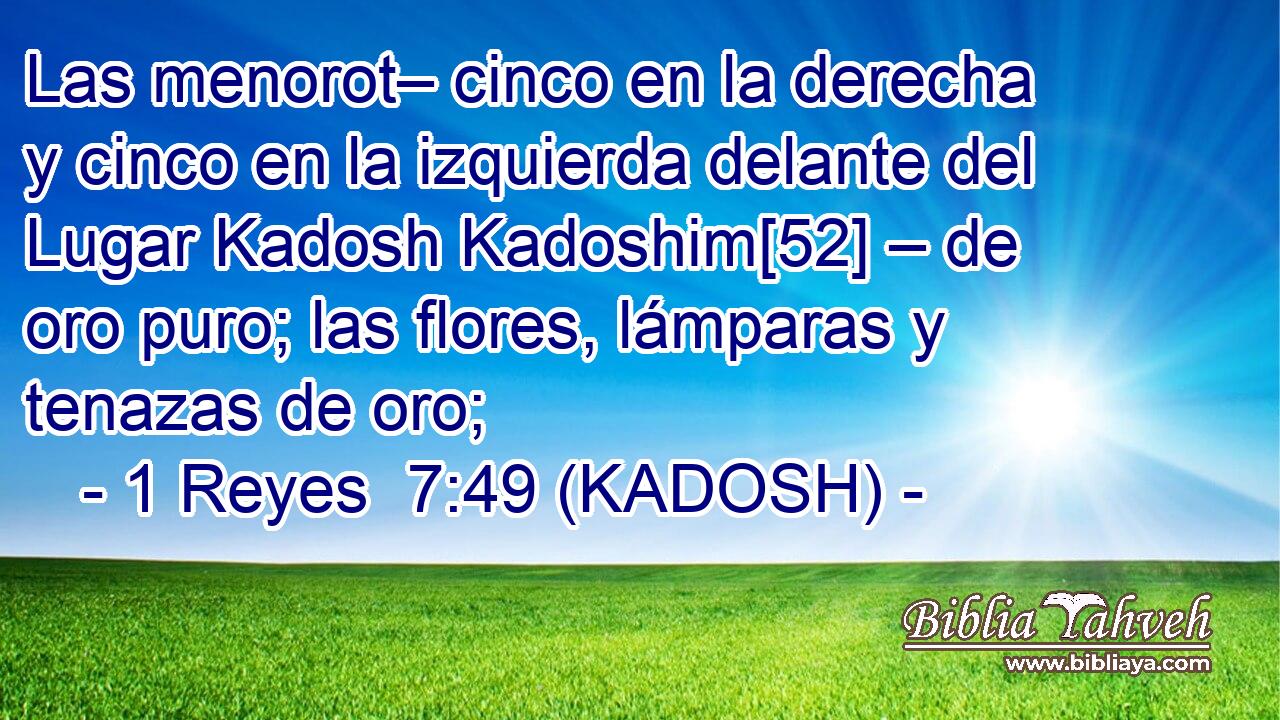  Las menorot– cinco en la derecha y cinco en la izquierda delante del Lugar Kadosh Kadoshim[52] – de oro puro; las flores, lámparas y tenazas de oro; 