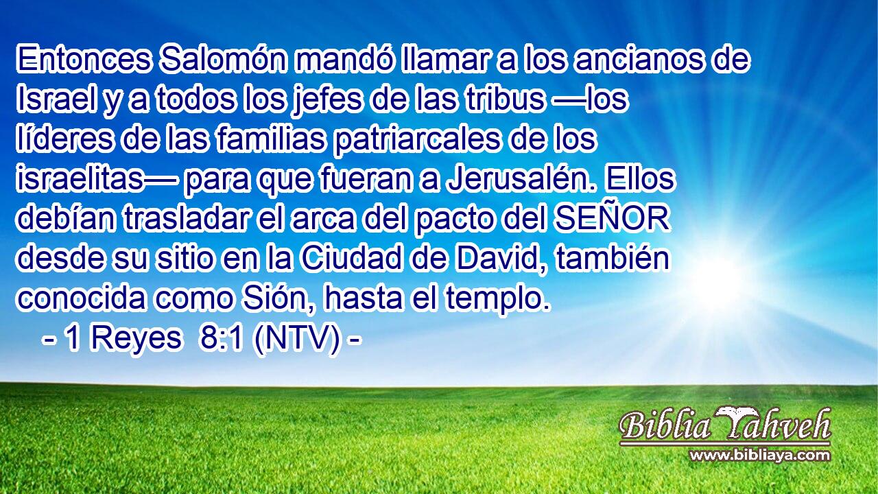Entonces Salomón mandó llamar a los ancianos de Israel y a todos los jefes de las tribus —los líderes de las familias patriarcales de los israelitas— para que fueran a Jerusalén. Ellos debían trasladar el arca del pacto del SEÑOR desde su sitio en la Ciudad de David, también conocida como Sión, hasta el templo.