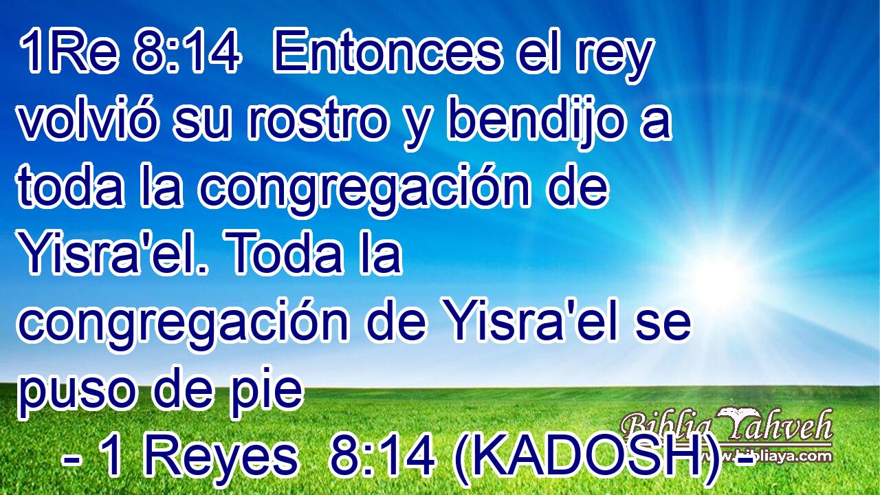  Entonces el rey volvió su rostro y bendijo a toda la congregación de Yisra'el. Toda la congregación de Yisra'el se puso de pie 