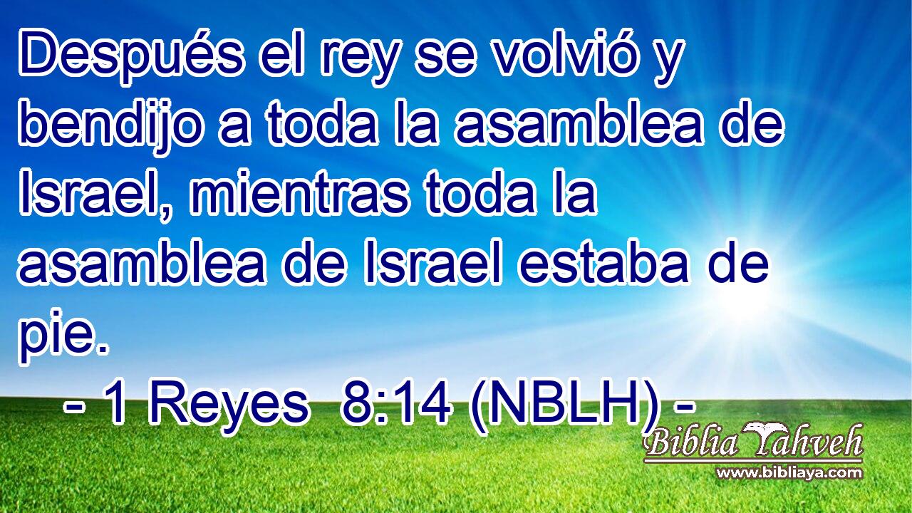  Después el rey se volvió y bendijo a toda la asamblea de Israel, mientras toda la asamblea de Israel estaba de pie. 