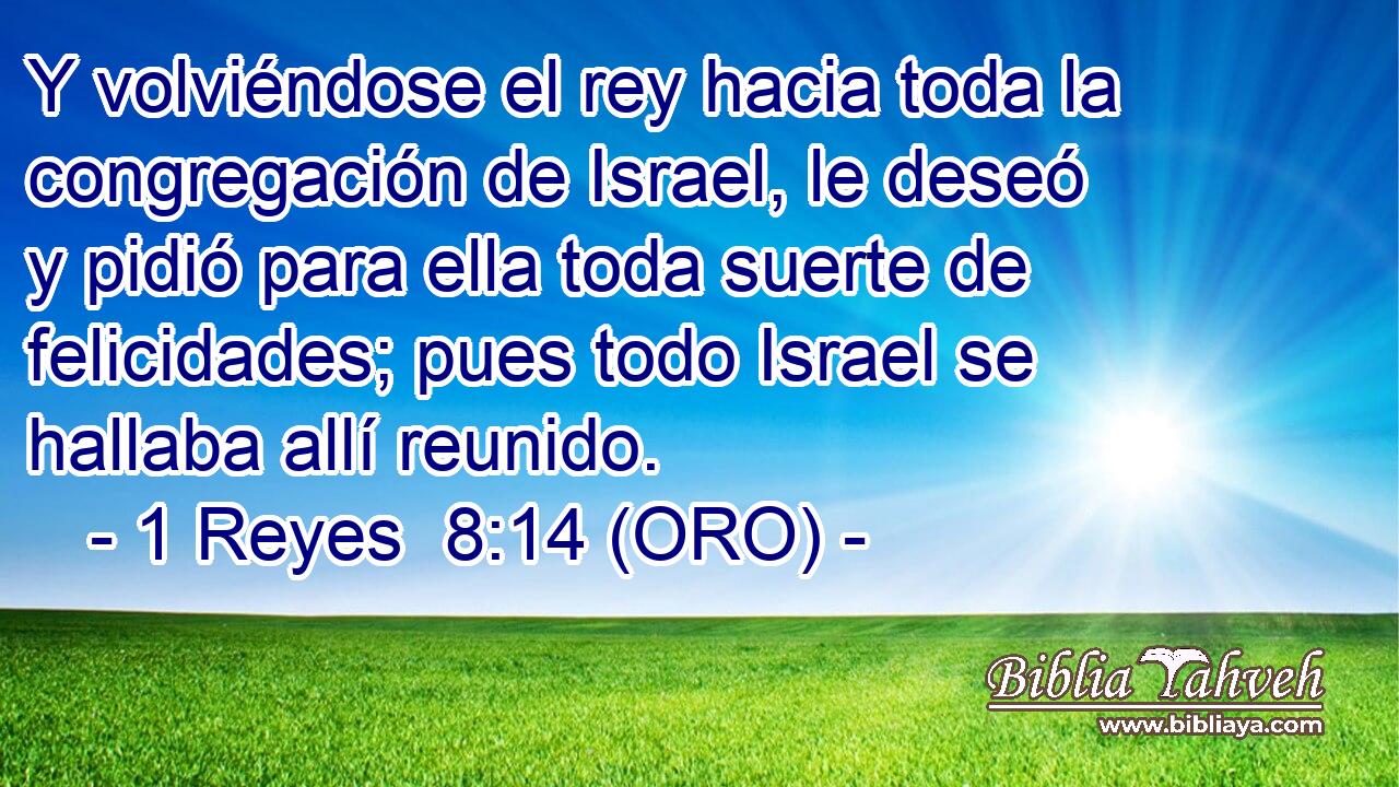  Y volviéndose el rey hacia toda la congregación de Israel, le deseó y pidió para ella toda suerte de felicidades; pues todo Israel se hallaba allí reunido. 