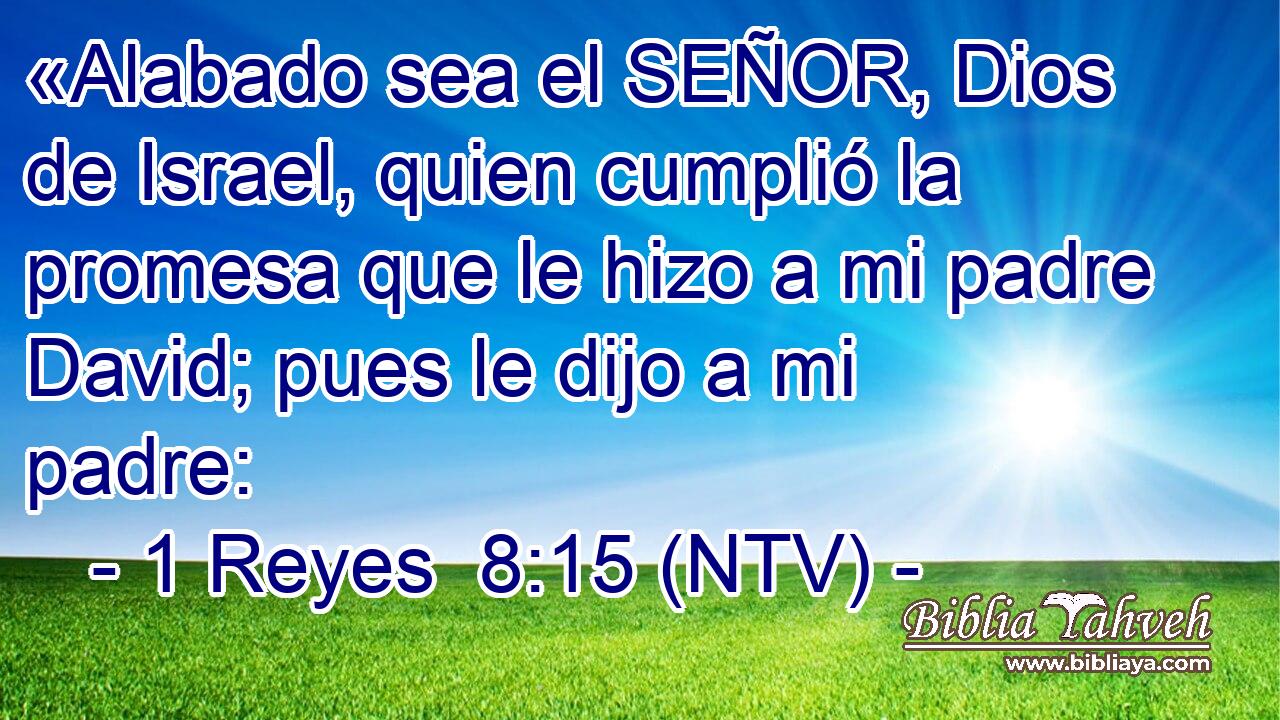 «Alabado sea el SEÑOR, Dios de Israel, quien cumplió la promesa que le hizo a mi padre David; pues le dijo a mi padre:
