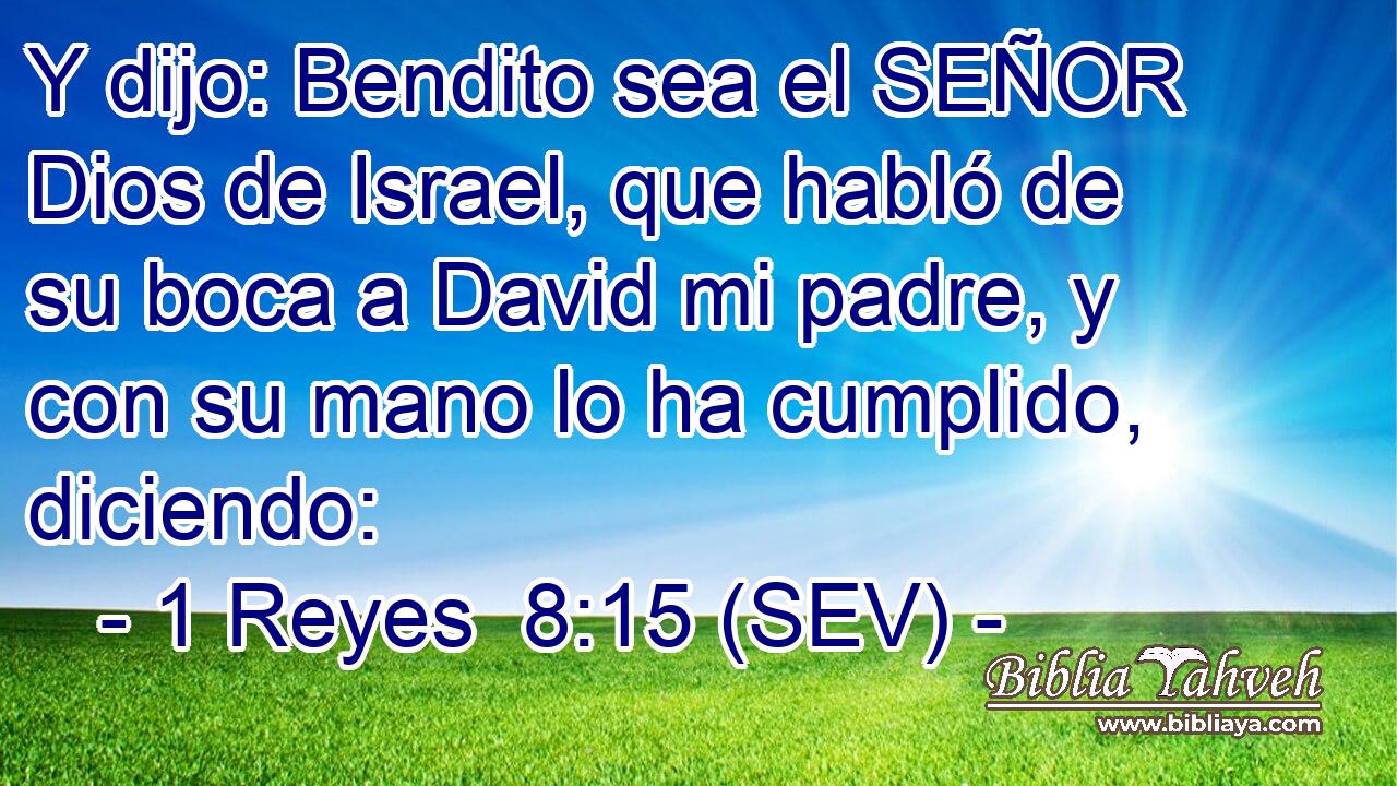 Y dijo: Bendito sea el SEÑOR Dios de Israel, que habló de su boca a David mi padre, y con su mano lo ha cumplido, diciendo:
