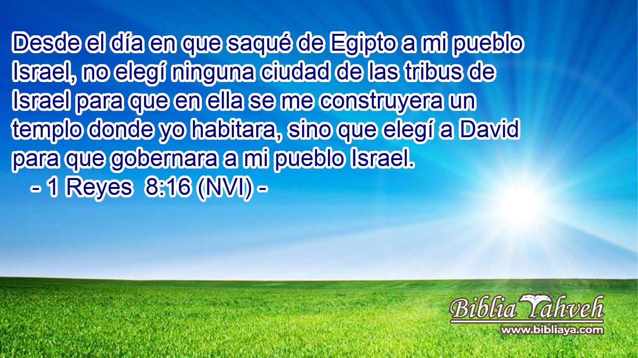 Desde el día en que saqué de Egipto a mi pueblo Israel, no elegí ninguna ciudad de las tribus de Israel para que en ella se me construyera un templo donde yo habitara, sino que elegí a David para que gobernara a mi pueblo Israel. 