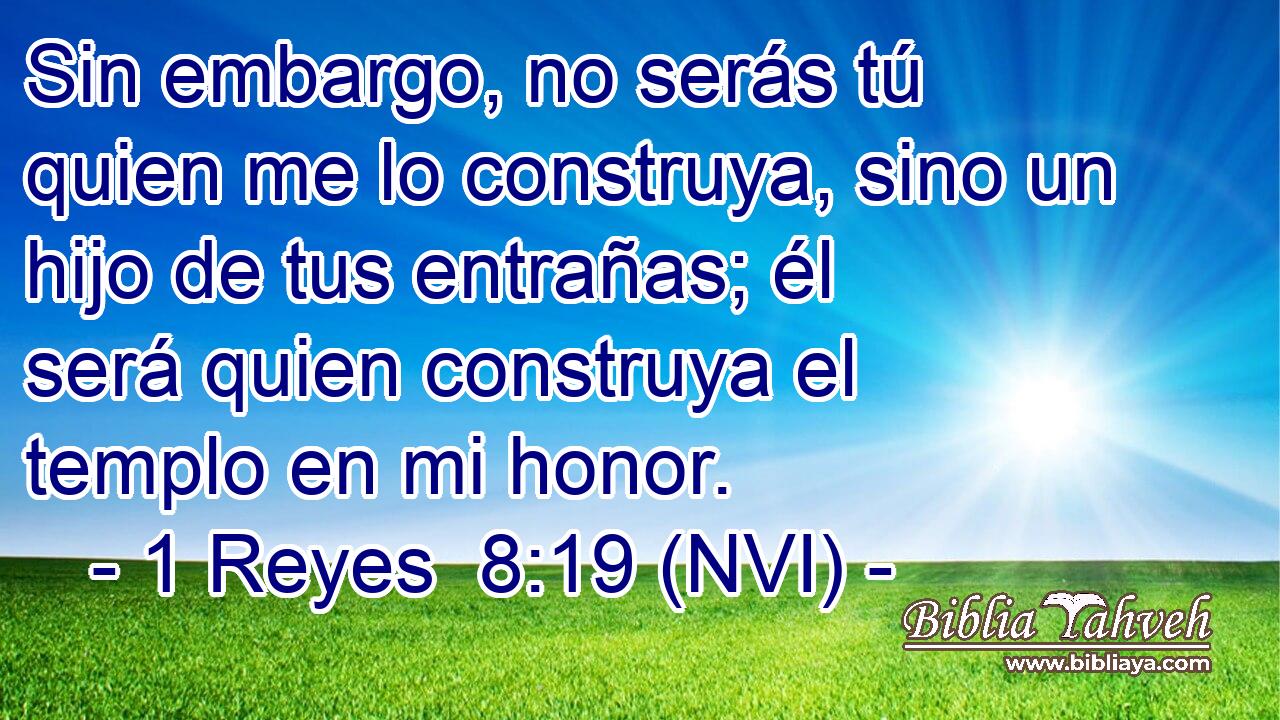  Sin embargo, no serás tú quien me lo construya, sino un hijo de tus entrañas; él será quien construya el templo en mi honor. 