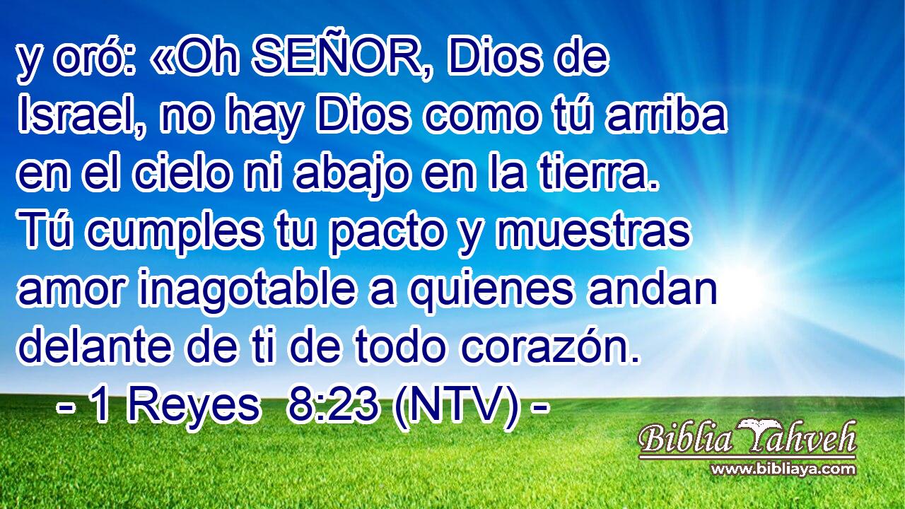 y oró: «Oh SEÑOR, Dios de Israel, no hay Dios como tú arriba en el cielo ni abajo en la tierra. Tú cumples tu pacto y muestras amor inagotable a quienes andan delante de ti de todo corazón.