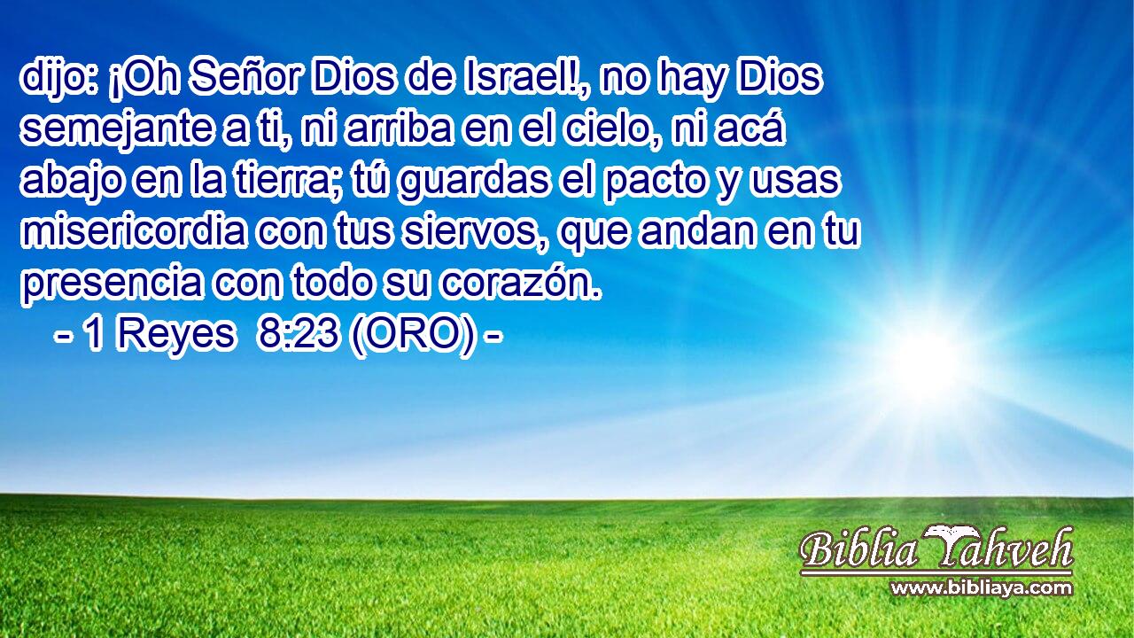  dijo: ¡Oh Señor Dios de Israel!, no hay Dios semejante a ti, ni arriba en el cielo, ni acá abajo en la tierra; tú guardas el pacto y usas misericordia con tus siervos, que andan en tu presencia con todo su corazón. 