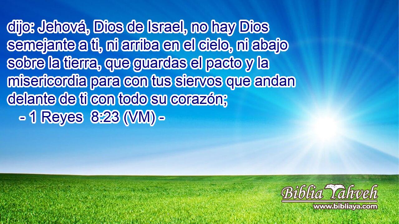  dijo: Jehová, Dios de Israel, no hay Dios semejante a ti, ni arriba en el cielo, ni abajo sobre la tierra, que guardas el pacto y la misericordia para con tus siervos que andan delante de ti con todo su corazón; 