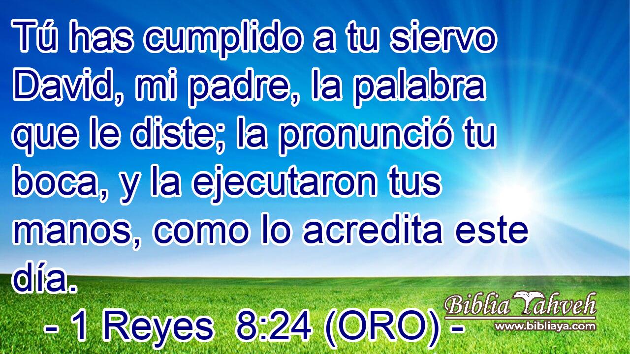  Tú has cumplido a tu siervo David, mi padre, la palabra que le diste; la pronunció tu boca, y la ejecutaron tus manos, como lo acredita este día. 