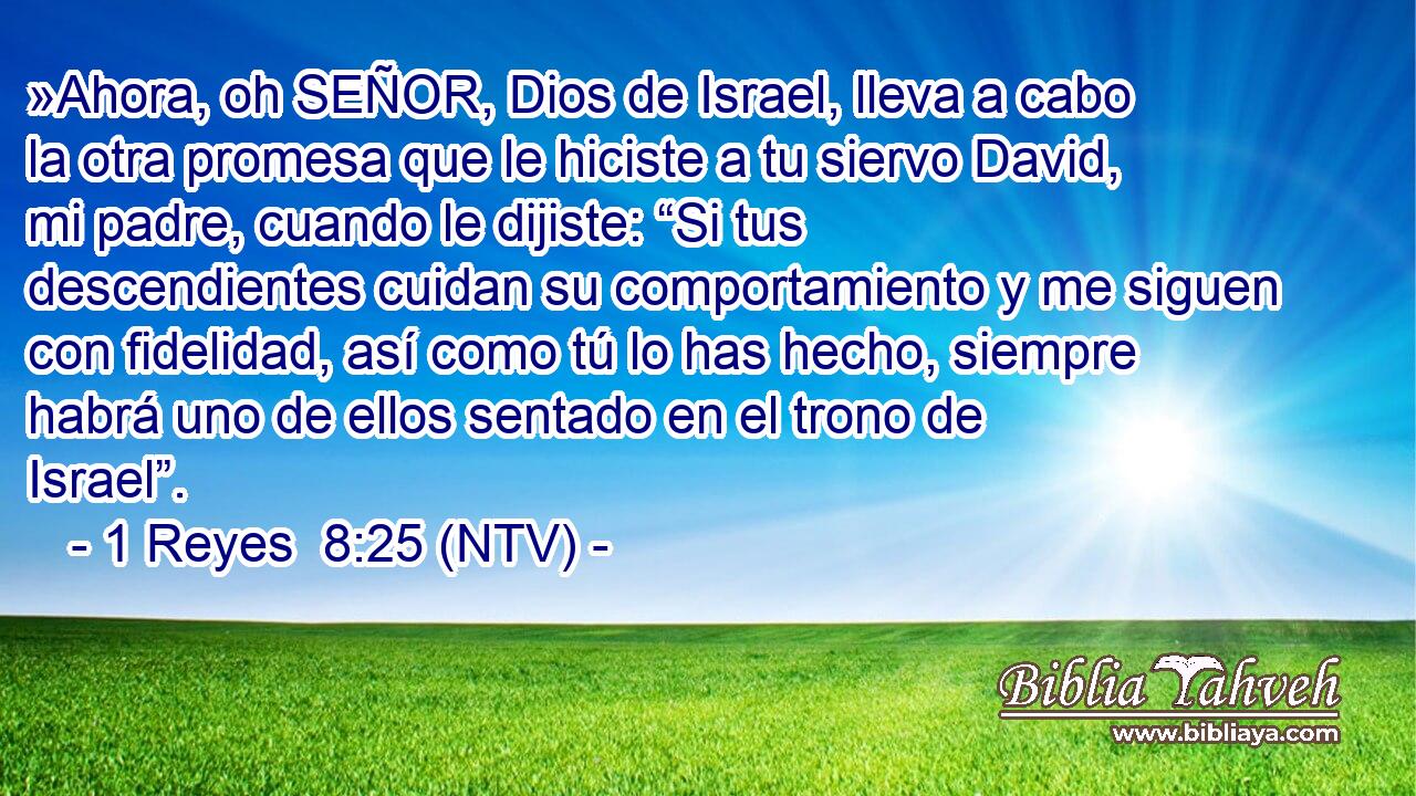 »Ahora, oh SEÑOR, Dios de Israel, lleva a cabo la otra promesa que le hiciste a tu siervo David, mi padre, cuando le dijiste: “Si tus descendientes cuidan su comportamiento y me siguen con fidelidad, así como tú lo has hecho, siempre habrá uno de ellos sentado en el trono de Israel”.