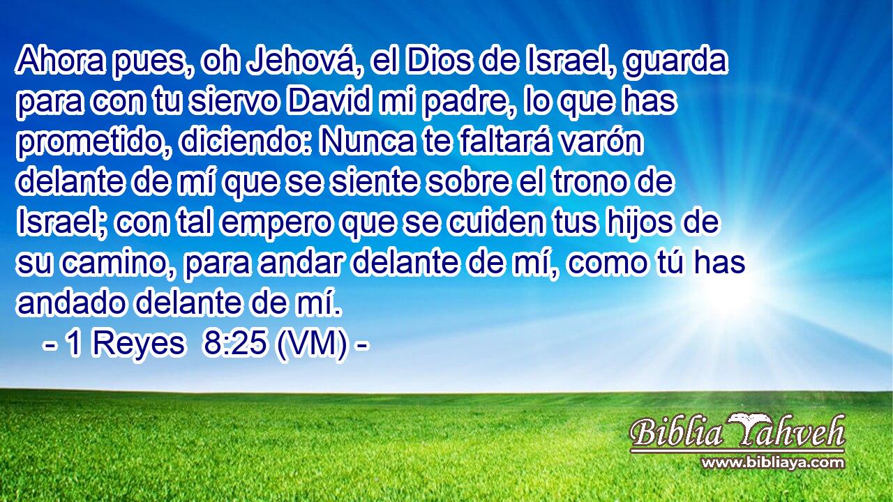  Ahora pues, oh Jehová, el Dios de Israel, guarda para con tu siervo David mi padre, lo que has prometido, diciendo: Nunca te faltará varón delante de mí que se siente sobre el trono de Israel; con tal empero que se cuiden tus hijos de su camino, para andar delante de mí, como tú has andado delante de mí. 