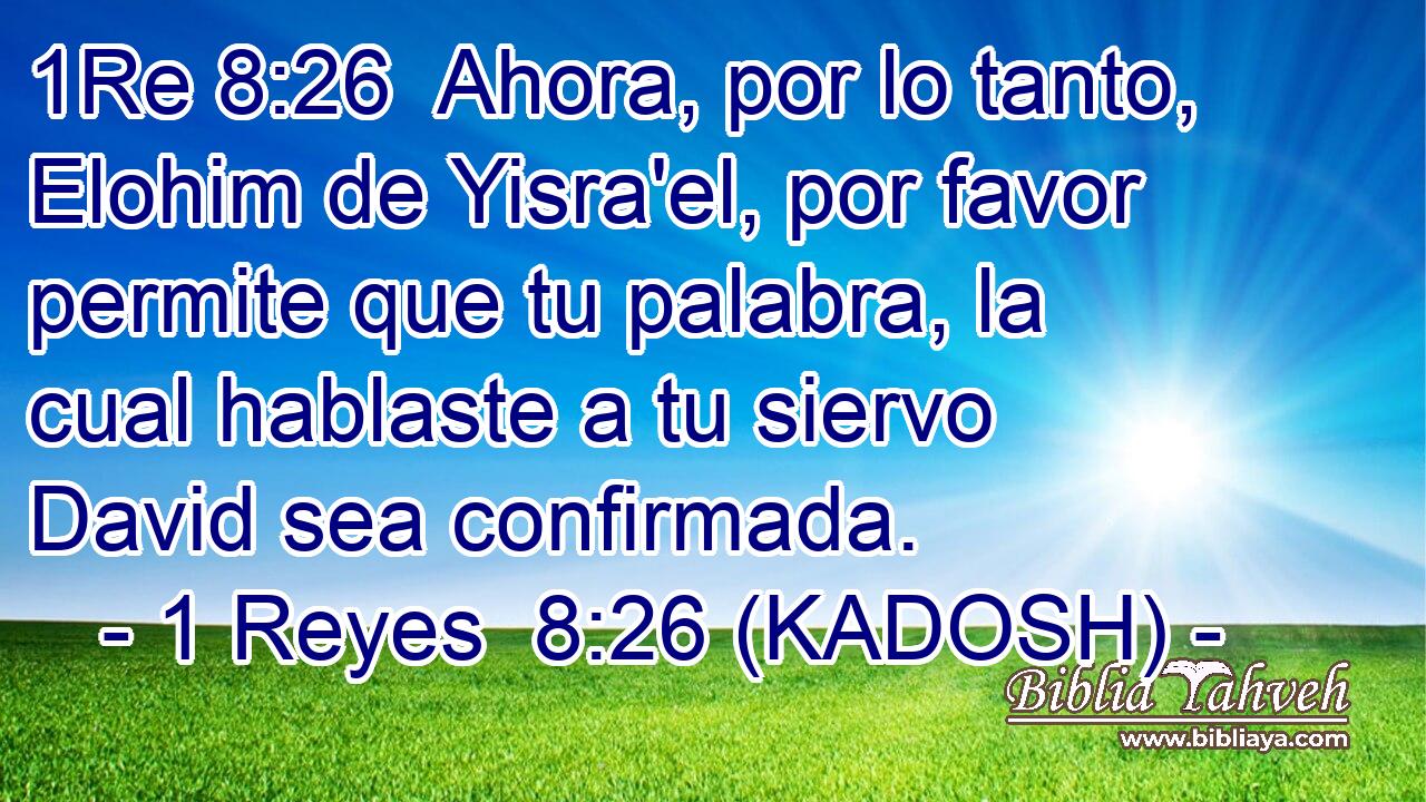  Ahora, por lo tanto, Elohim de Yisra'el, por favor permite que tu palabra, la cual hablaste a tu siervo David sea confirmada. 