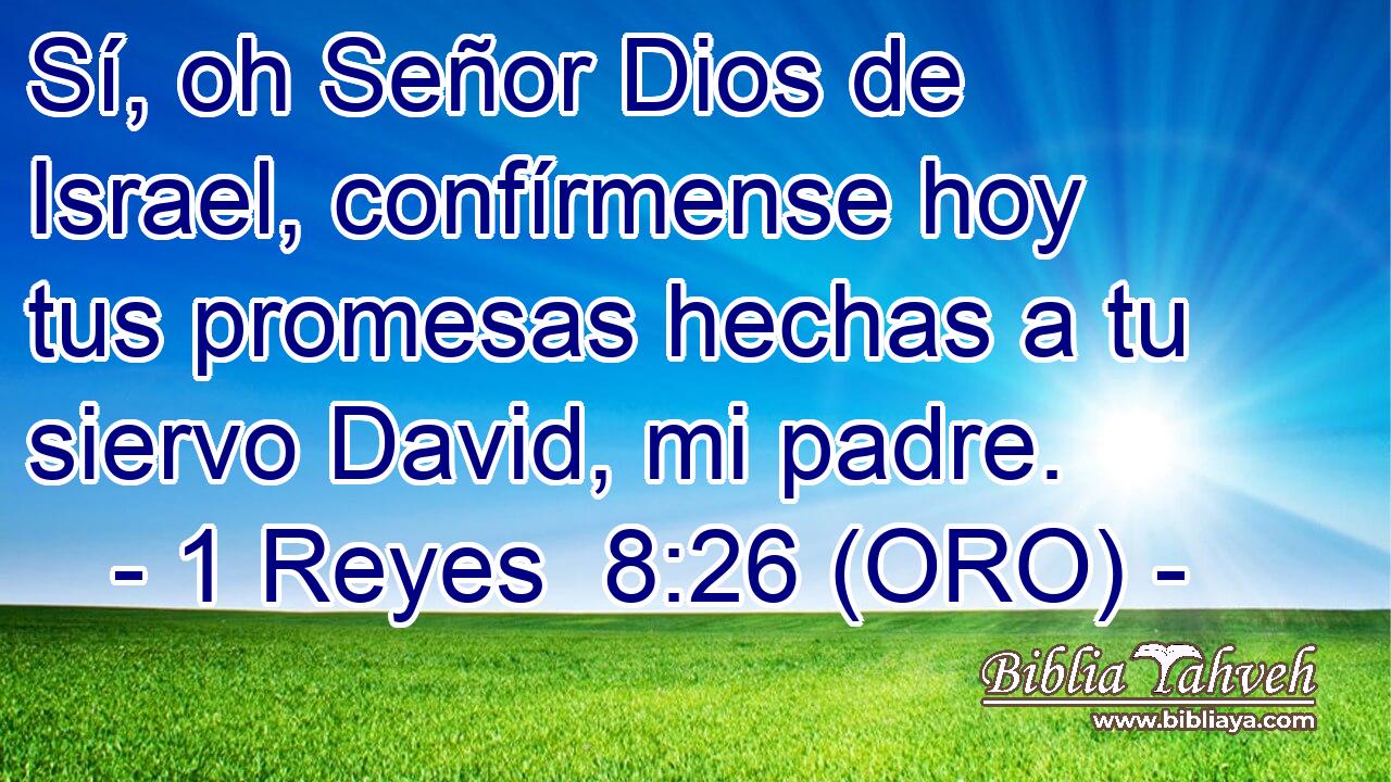  Sí, oh Señor Dios de Israel, confírmense hoy tus promesas hechas a tu siervo David, mi padre. 