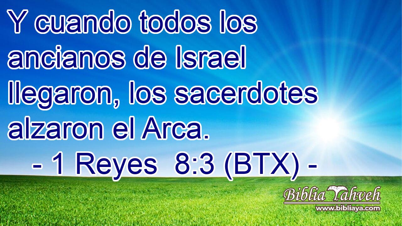 Y cuando todos los ancianos de Israel llegaron, los sacerdotes alzaron el Arca.