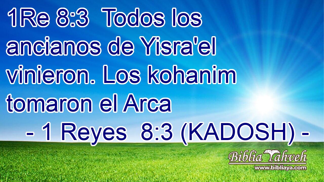  Todos los ancianos de Yisra'el vinieron. Los kohanim tomaron el Arca 