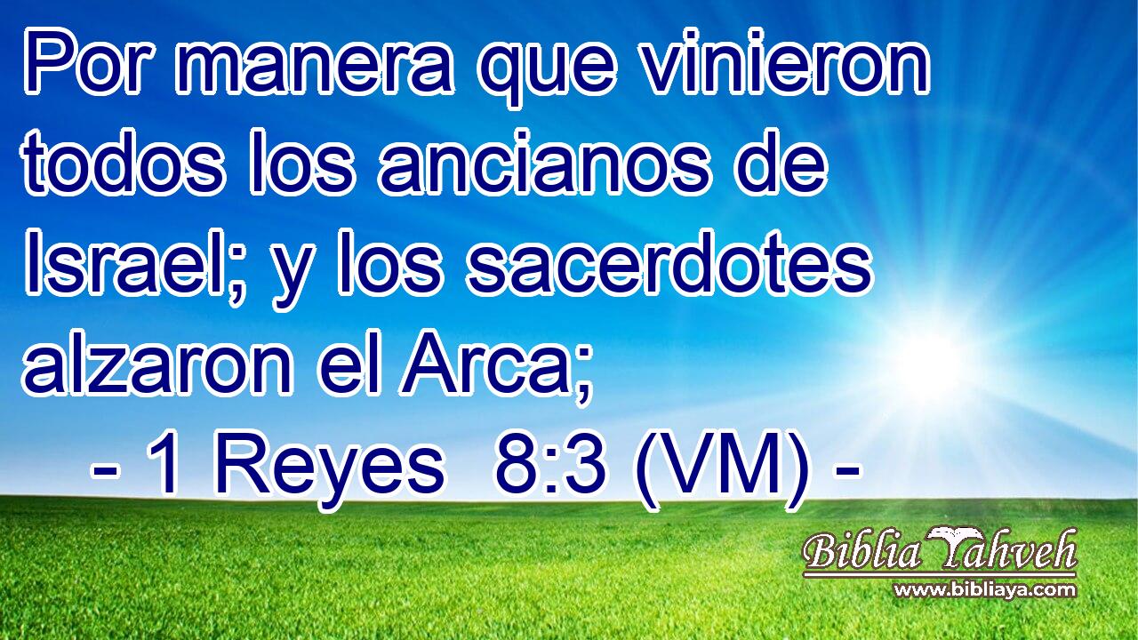  Por manera que vinieron todos los ancianos de Israel; y los sacerdotes alzaron el Arca; 