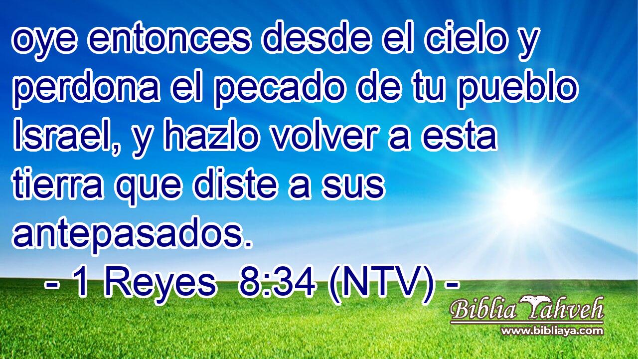 oye entonces desde el cielo y perdona el pecado de tu pueblo Israel, y hazlo volver a esta tierra que diste a sus antepasados.