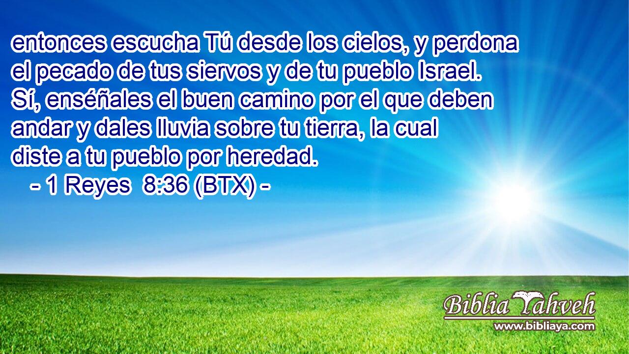 entonces escucha Tú desde los cielos, y perdona el pecado de tus siervos y de tu pueblo Israel. Sí, enséñales el buen camino por el que deben andar y dales lluvia sobre tu tierra, la cual diste a tu pueblo por heredad.