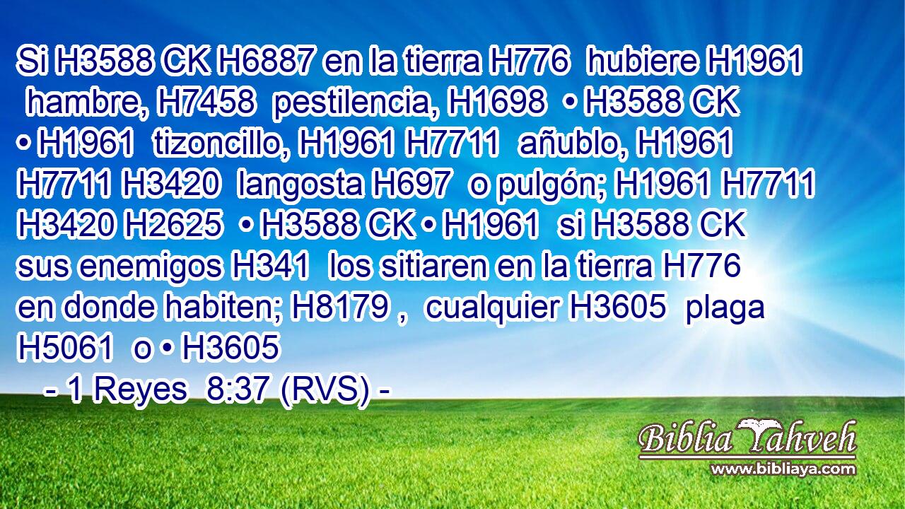 Si H3588 CK H6887 en la tierra H776  hubiere H1961  hambre, H7458  pestilencia, H1698  • H3588 CK • H1961  tizoncillo, H1961 H7711  añublo, H1961 H7711 H3420  langosta H697  o pulgón; H1961 H7711 H3420 H2625  • H3588 CK • H1961  si H3588 CK sus enemigos H341  los sitiaren en la tierra H776  en donde habiten; H8179 ,  cualquier H3605  plaga H5061  o • H3605 