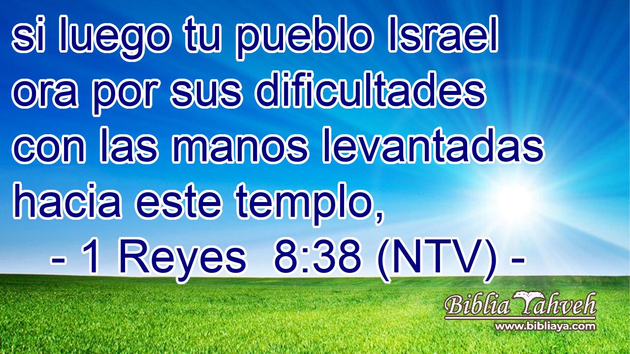 si luego tu pueblo Israel ora por sus dificultades con las manos levantadas hacia este templo,