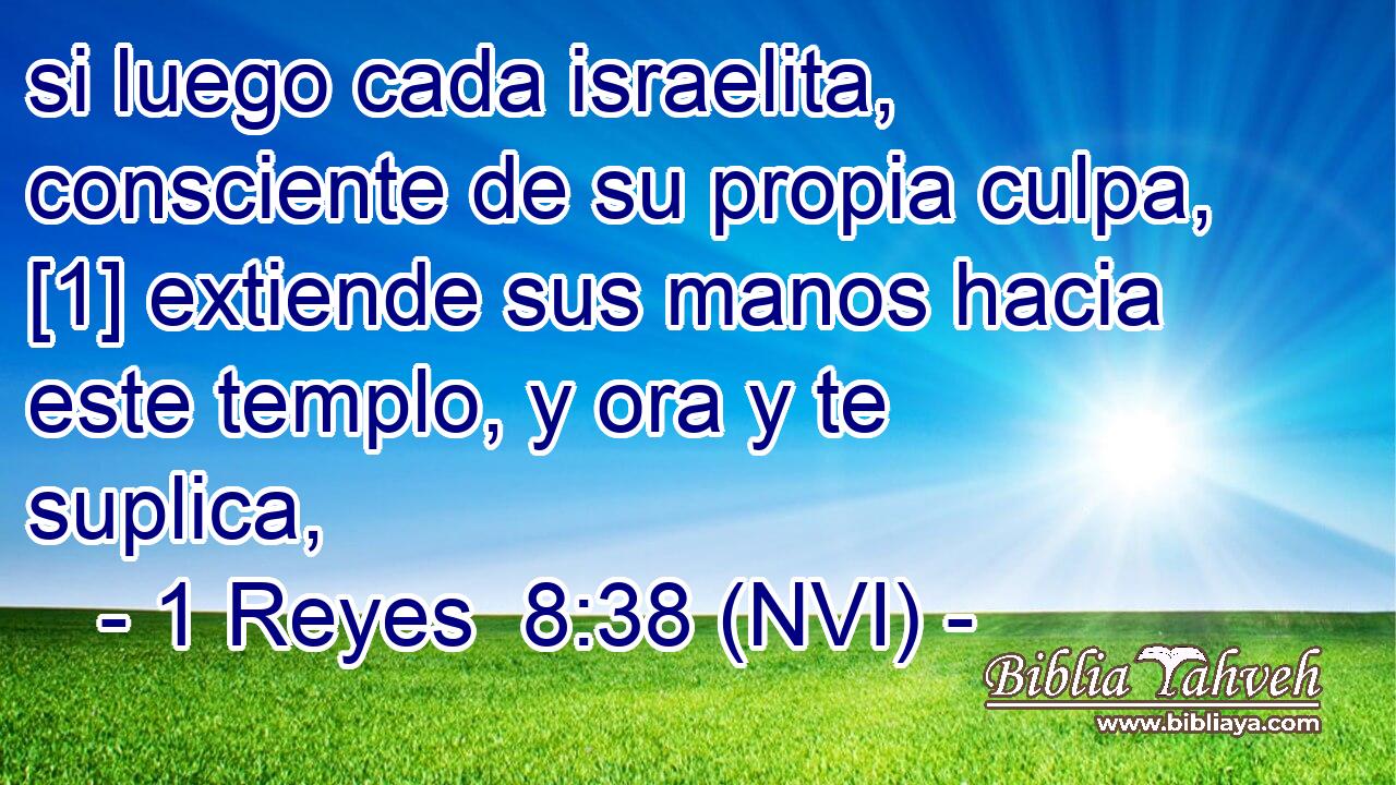  si luego cada israelita, consciente de su propia culpa, [1] extiende sus manos hacia este templo, y ora y te suplica, 