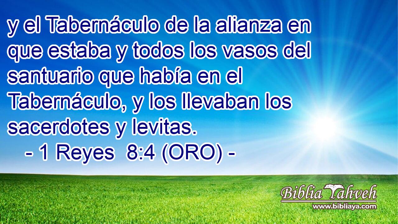  y el Tabernáculo de la alianza en que estaba y todos los vasos del santuario que había en el Tabernáculo, y los llevaban los sacerdotes y levitas. 