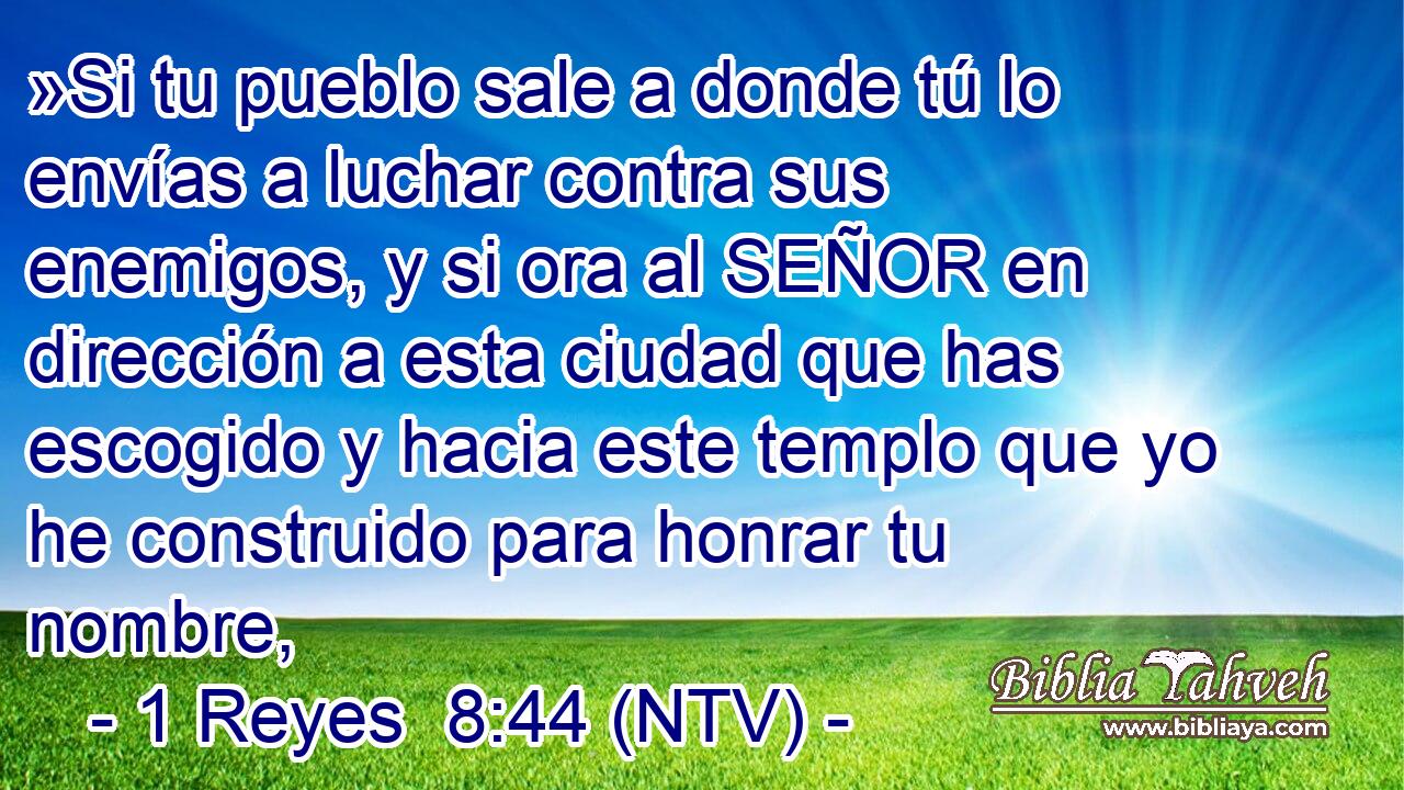 »Si tu pueblo sale a donde tú lo envías a luchar contra sus enemigos, y si ora al SEÑOR en dirección a esta ciudad que has escogido y hacia este templo que yo he construido para honrar tu nombre,