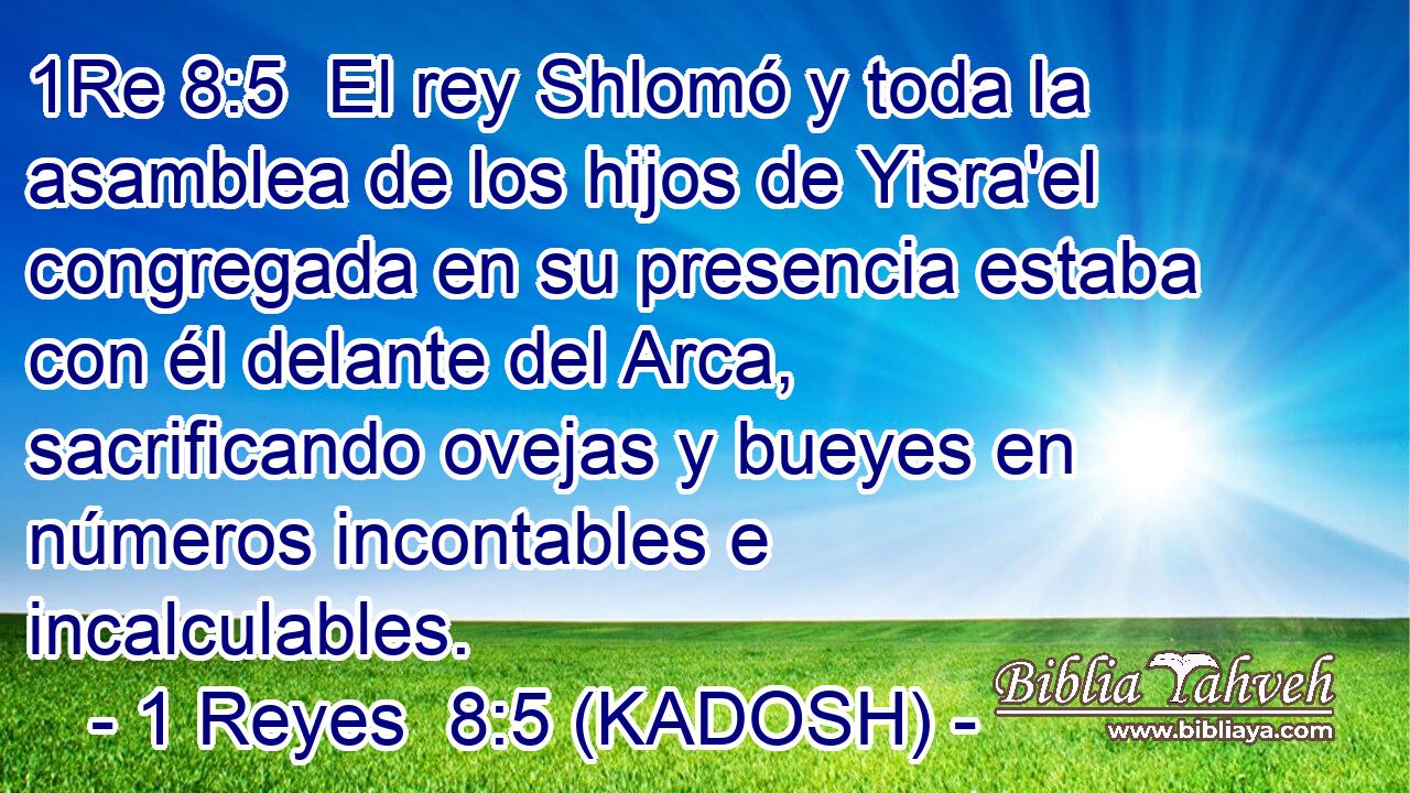  El rey Shlomó y toda la asamblea de los hijos de Yisra'el congregada en su presencia estaba con él delante del Arca, sacrificando ovejas y bueyes en números incontables e incalculables. 
