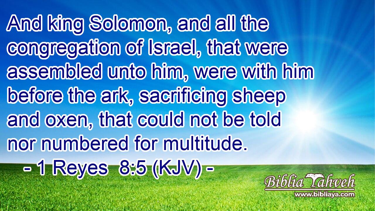 And king Solomon, and all the congregation of Israel, that were assembled unto him, were with him before the ark, sacrificing sheep and oxen, that could not be told nor numbered for multitude.