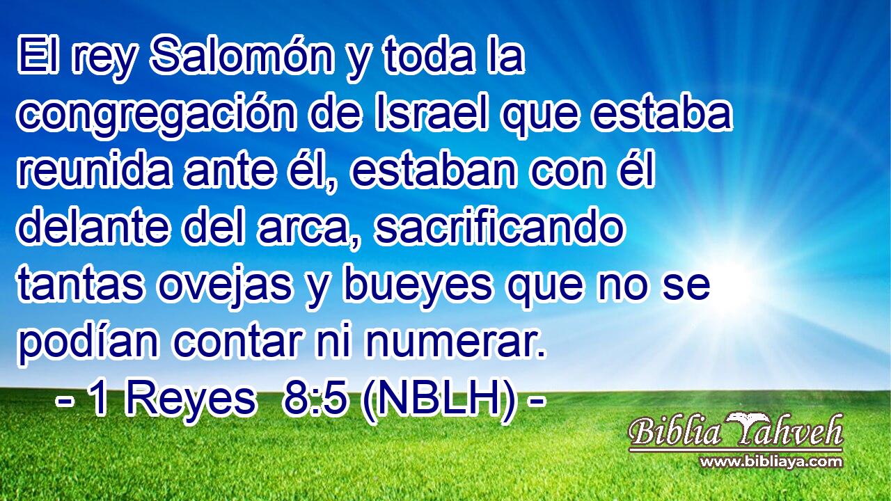  El rey Salomón y toda la congregación de Israel que estaba reunida ante él, estaban con él delante del arca, sacrificando tantas ovejas y bueyes que no se podían contar ni numerar. 