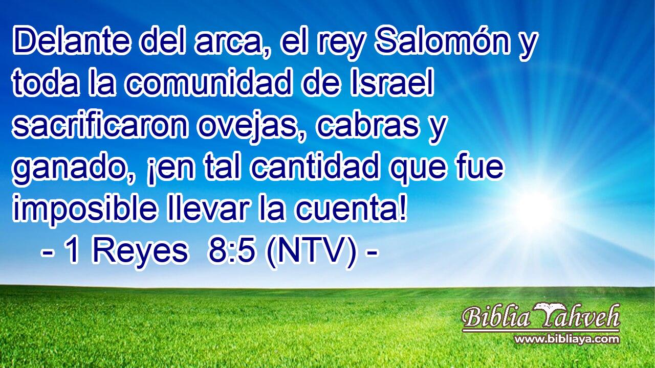 Delante del arca, el rey Salomón y toda la comunidad de Israel sacrificaron ovejas, cabras y ganado, ¡en tal cantidad que fue imposible llevar la cuenta!
