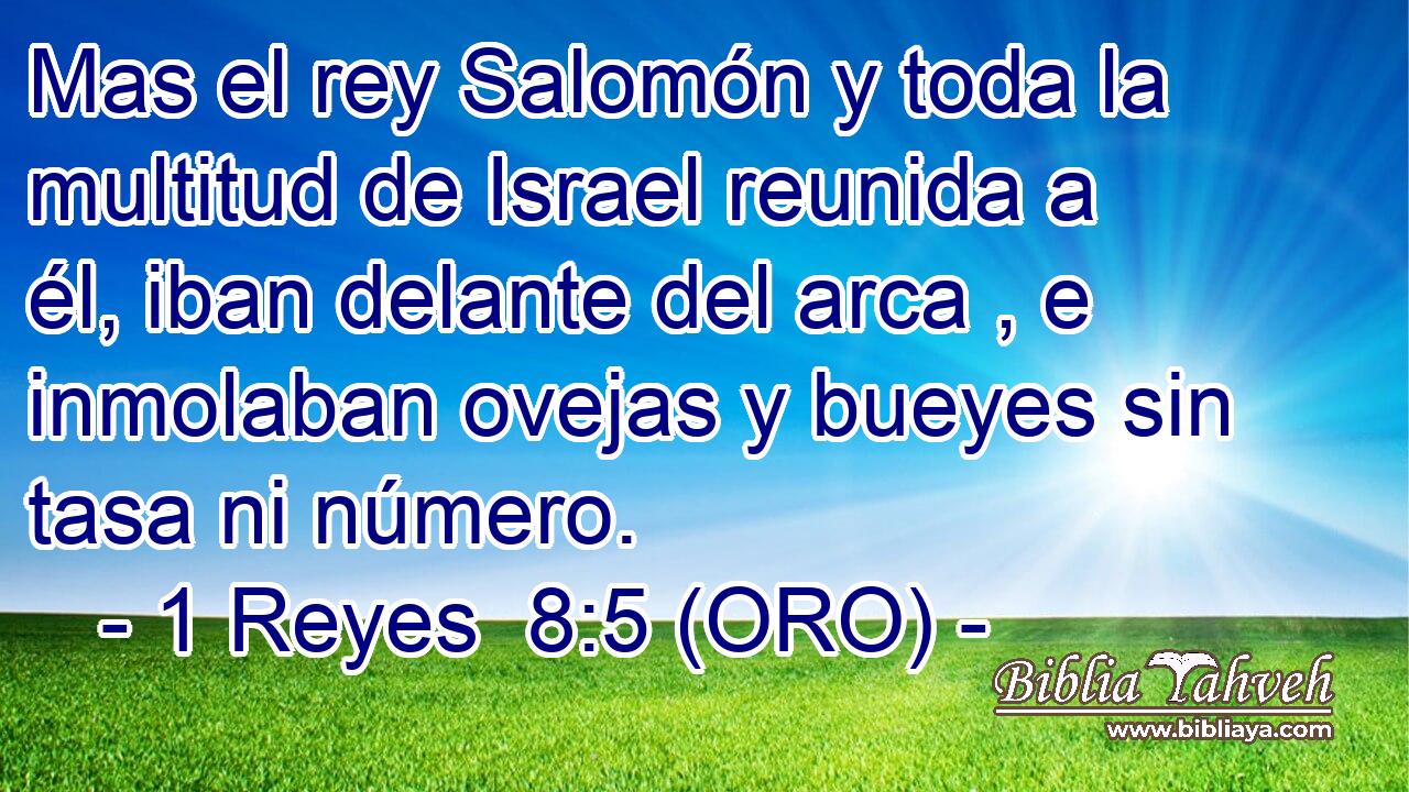  Mas el rey Salomón y toda la multitud de Israel reunida a él, iban delante del arca , e inmolaban ovejas y bueyes sin tasa ni número. 