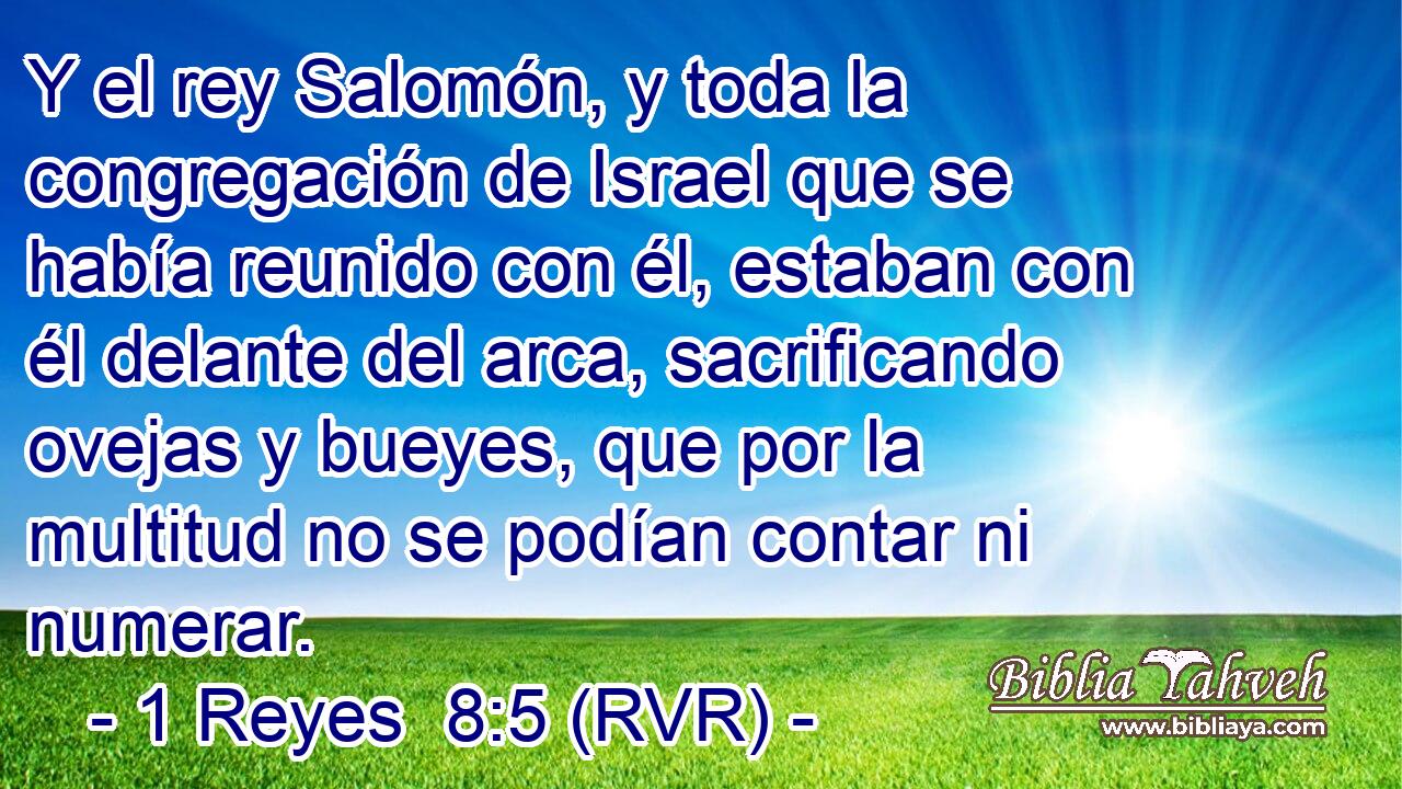 Y el rey Salomón, y toda la congregación de Israel que se había reunido con él, estaban con él delante del arca, sacrificando ovejas y bueyes, que por la multitud no se podían contar ni numerar.