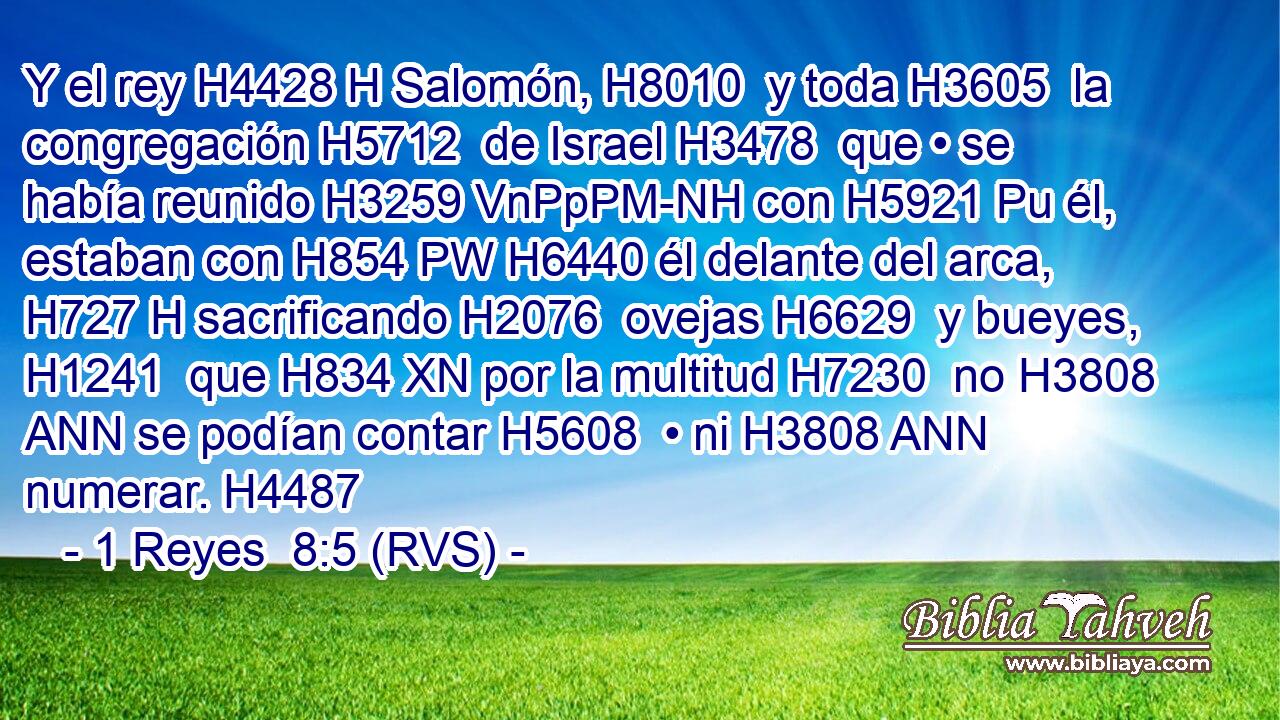Y el rey H4428 H Salomón, H8010  y toda H3605  la congregación H5712  de Israel H3478  que • se había reunido H3259 VnPpPM-NH con H5921 Pu él, estaban con H854 PW H6440 él delante del arca, H727 H sacrificando H2076  ovejas H6629  y bueyes, H1241  que H834 XN por la multitud H7230  no H3808 ANN se podían contar H5608  • ni H3808 ANN numerar. H4487  