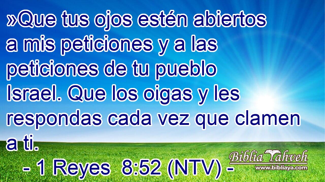 »Que tus ojos estén abiertos a mis peticiones y a las peticiones de tu pueblo Israel. Que los oigas y les respondas cada vez que clamen a ti.