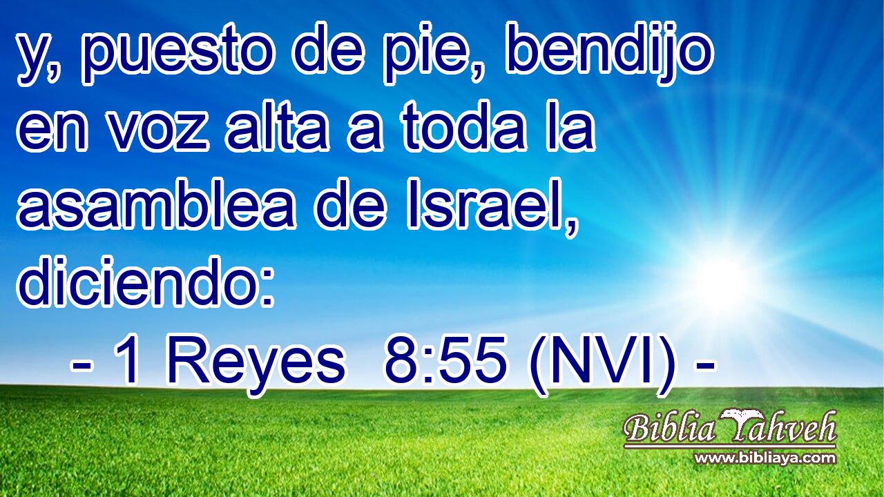  y, puesto de pie, bendijo en voz alta a toda la asamblea de Israel, diciendo: 